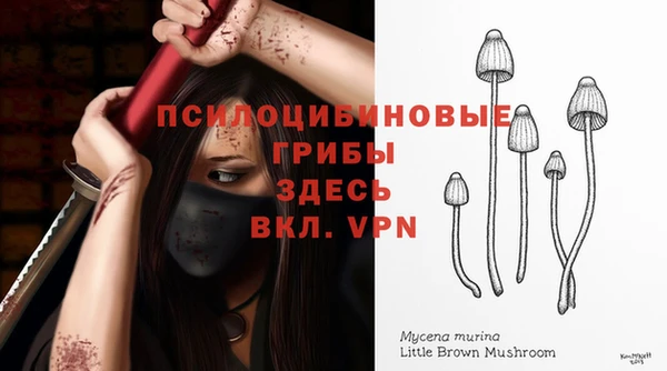 мяу мяу мука Алексин