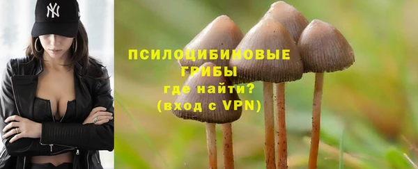 прущие крисы Армянск