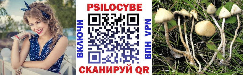 блэк спрут ССЫЛКА  Козьмодемьянск  Галлюциногенные грибы ЛСД 